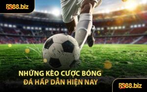 Thể Thao RS88 - Hợp Tác Cùng Nhiều Sảnh Nổi Tiếng - Bivon