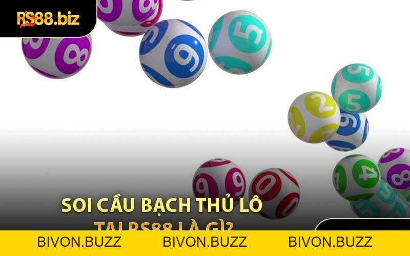 Soi Cầu Bạch Thủ Lô - Khái Niệm Soi Cầu Mới Cho Cược Thủ - Bivon