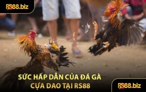 Tin Tức RS88 - Cập Nhật Tin Tức Hot Mỗi Ngày - Bivon