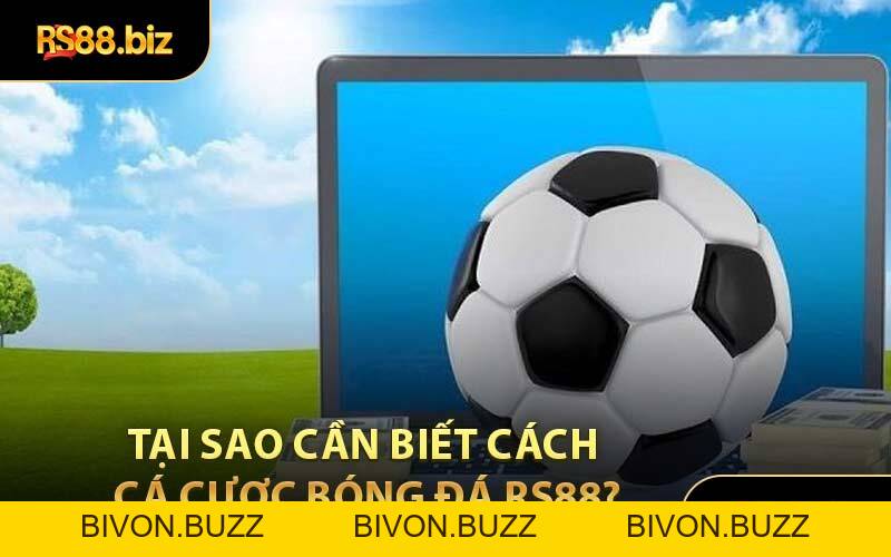 Cá Cược Bóng Đá - Sân Chơi Đem Đến Nhiều Kèo Thơm - Bivon