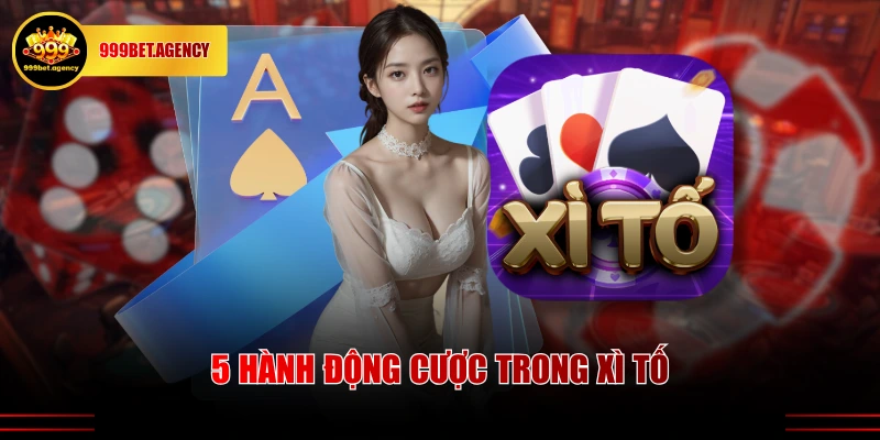 Cách Chơi Xì Tố - Tìm Kiếm Tiền Thưởng Qua 4 Vòng Cược - Bivon