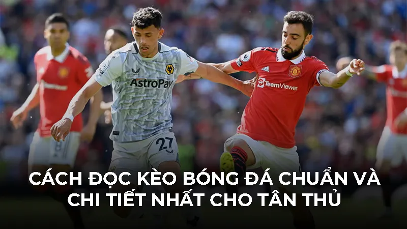 Cách đọc kèo bóng đá chuẩn và chi tiết nhất cho tân thủ 2026 - Bivon