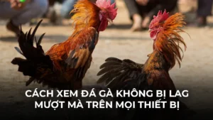 Thể Thao 999BET - Tổng Hợp 3 Hình Thức Đáng Tham Gia - Bivon