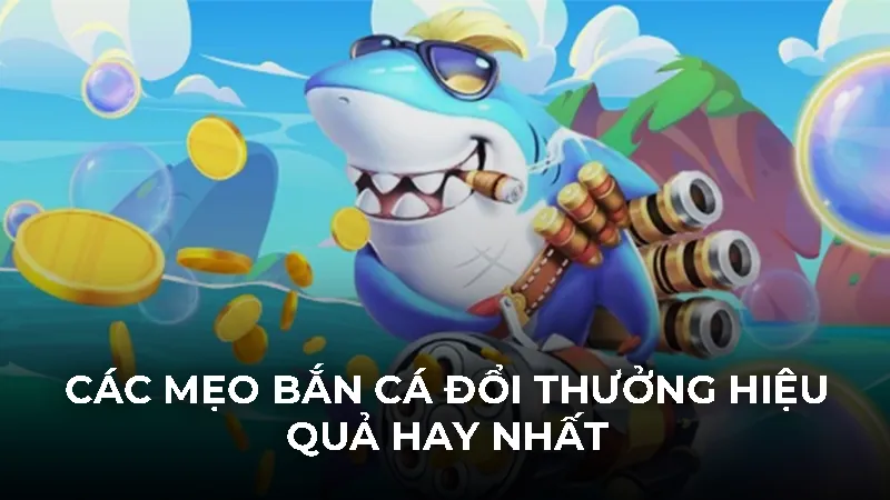 3 mẹo bắn cá đổi thưởng hiệu quả từ cao thủ lão làng - Bivon