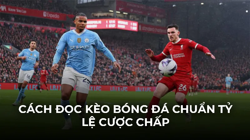 Cách đọc kèo bóng đá chuẩn và chi tiết nhất cho tân thủ 2026 - Bivon